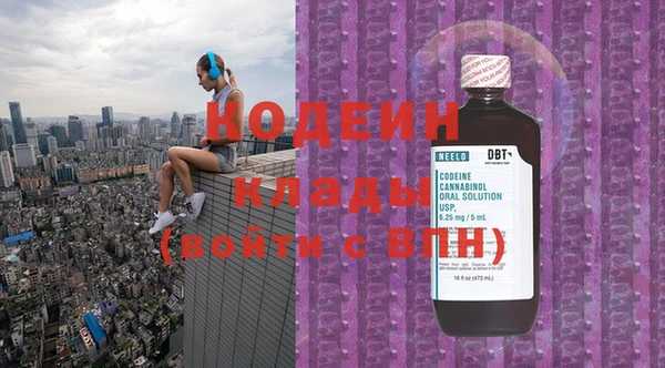 хмурый Нягань